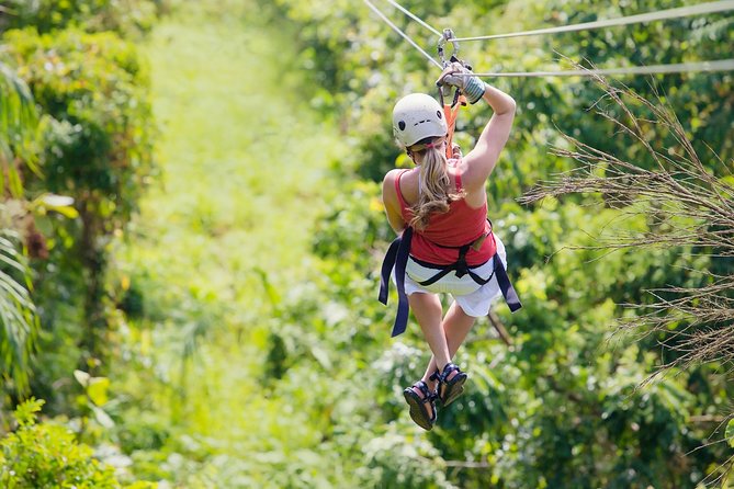 Zipline Canopy Tour & Tortuguero Canal Boat tour. Shore Excursion from Limon - Entering The Day: A Limon Shore Excursion That Moves Fast (In a Good Way)