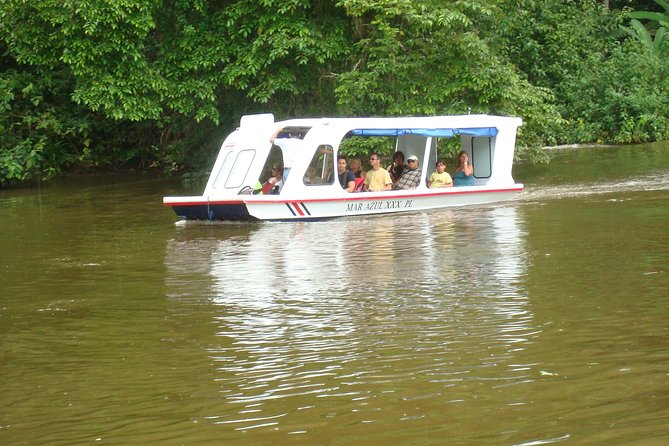 Zipline Canopy Tour & Tortuguero Canal Boat tour. Shore Excursion from Limon - Tortuguero Canal by Boat: Puerto Moin’s Wildlife-Spotting Route