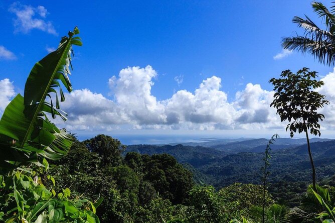 Zipline Canopy Tour with Transport from San Juan - Safety That’s More Than a Talking Point