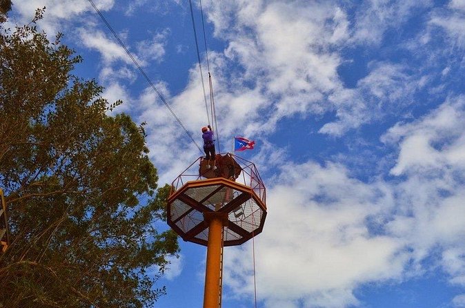 Zipline Canopy Tour with Transport from San Juan - Transport Time, Weather, and Packing Tips That Save the Day