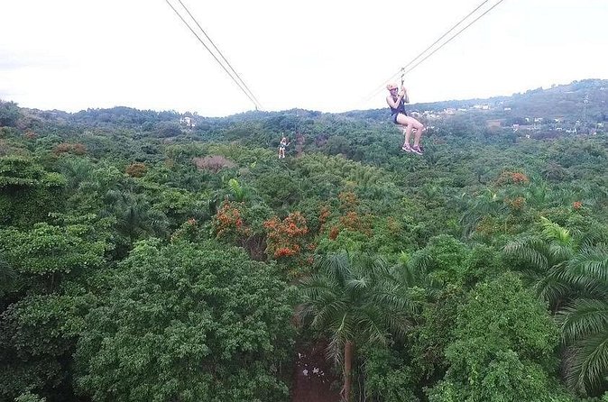 Zipline Canopy Tour with Transport from San Juan - Who Should Book This Zipline in Puerto Rico (and Who Should Skip It)