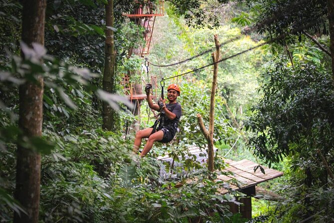 Zipline & Coffee with Waterfall Views in Koh Samui - The Zipline Circuit: Fast, Guided, and Designed for Views