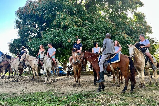 Zipline,Dune Buggy,Horse Riding - Horseback Riding Through Cocoa Country: Scenic Trails, Short Time