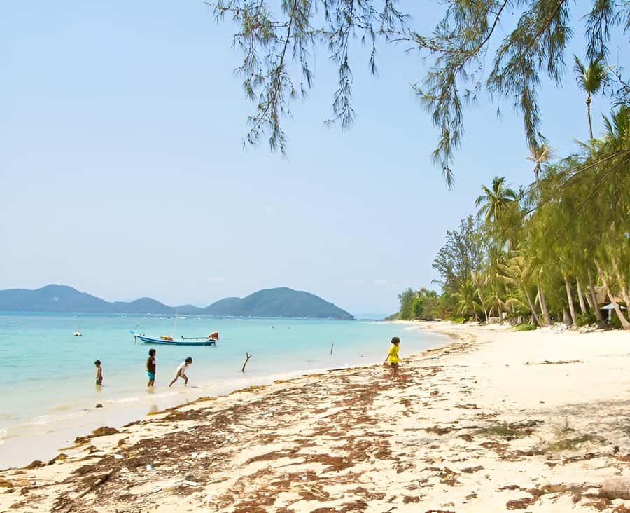 Zipline in Koh Samui Adventure activity tour - PETZL Safety Briefing and Gear Setup: Fast, Clear, and Hands-On