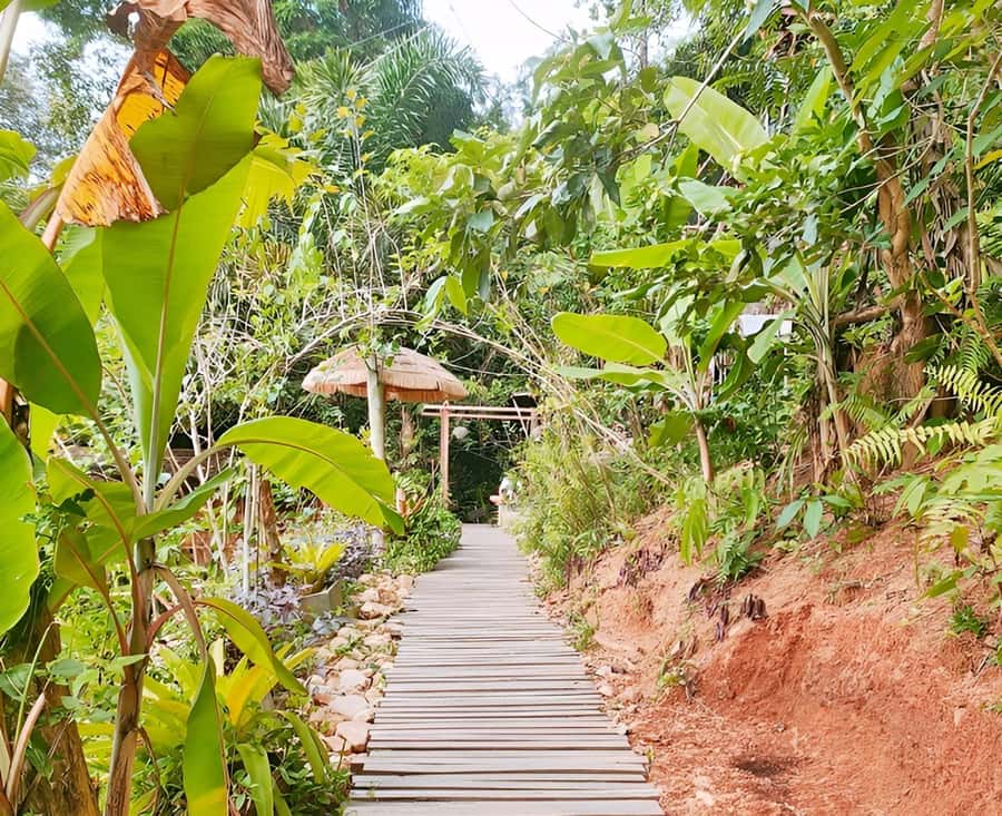Zipline in Koh Samui Adventure activity tour - What’s Included vs. What You’ll Need to Cover Yourself