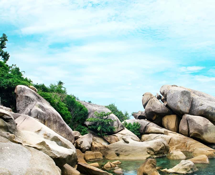Zipline in Koh Samui Adventure activity tour - Hotel Pickup Details: Jeeps, SUVs, and Timing Reality