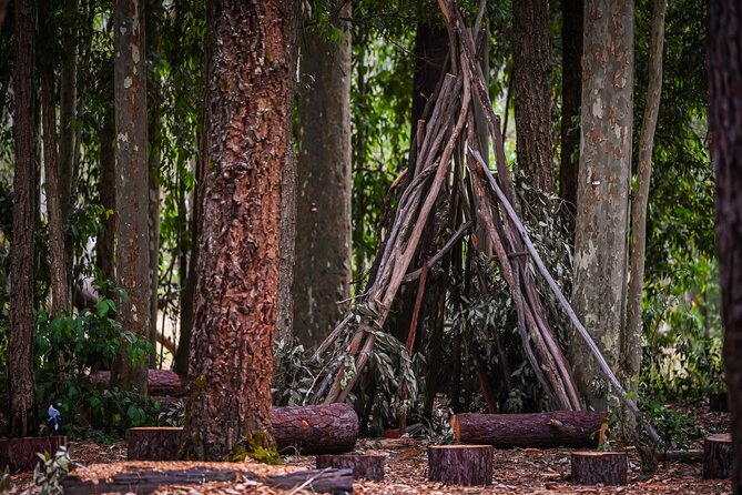 Zipline over the Heysen Trail & Through the Pines of Kuitpo - Price and value: is $34 actually fair?