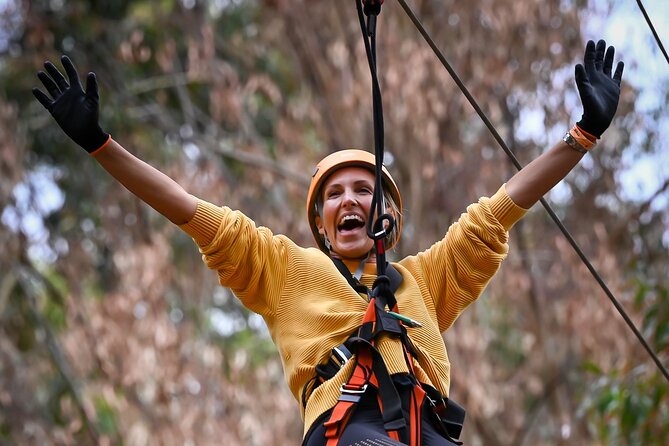 Zipline over the Heysen Trail & Through the Pines of Kuitpo - Timing tips: how to have more fun and do more course