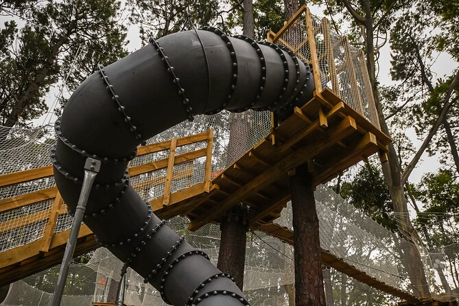 Zipline over the Heysen Trail & Through the Pines of Kuitpo - Courses, zip-lines, and the Tarzan swing: what “up in the trees” feels like