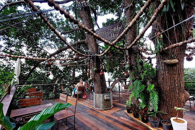 Zipline Ride on Koh Samui - Instructors, Video, and Photos: The Experience Beyond the Cable