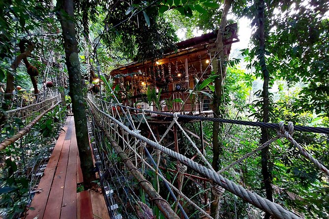 Zipline Ride on Koh Samui - Food, Drinks, and the Real End-of-Activity Plan