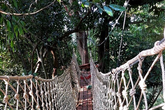 Zipline Ride on Koh Samui - Price and Value: Is $74.76 Worth It?