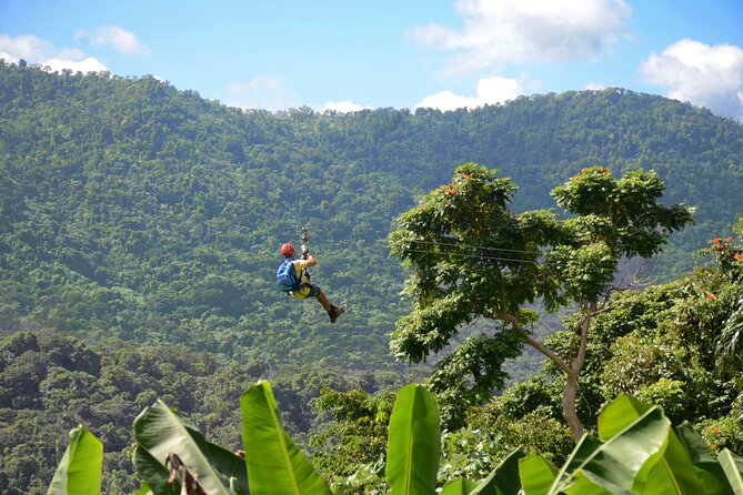 Ziplining at the Rainforest in Puerto Rico - Key Points You’ll Feel Immediately