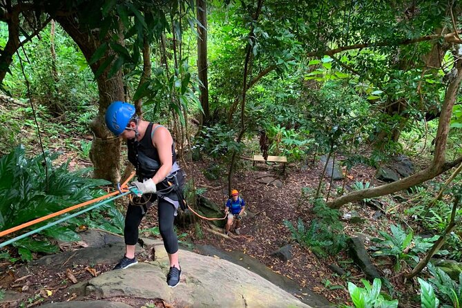 Ziplining at the Rainforest in Puerto Rico - Hiking and Fitness: What “Moderate” Means on Uneven Ground