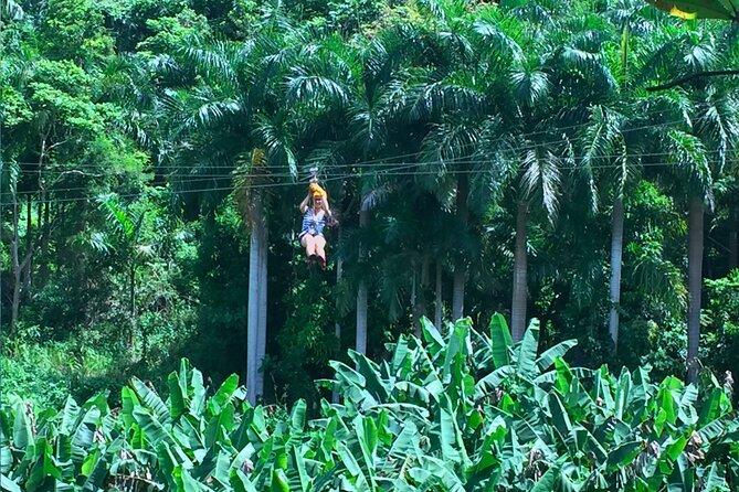 Ziplining at the Rainforest in Puerto Rico - Timing Options and Pairing With El Yunque or Fajardo