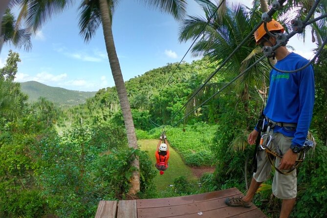 Ziplining at the Rainforest in Puerto Rico - Price and Value: What $149 Really Buys You