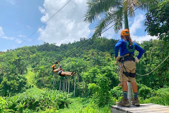 Ziplining at the Rainforest in Puerto Rico - Who This Tour Suits Best (And Who Should Rethink It)