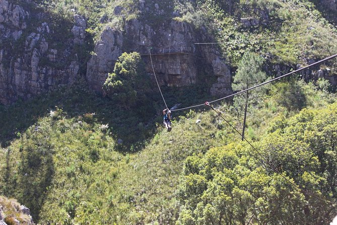 Ziplining Elgin - The run of show: 4x4 ride up, 11 ziplines, 13 platforms